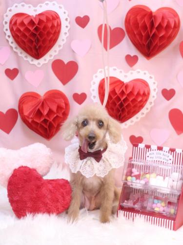 20240229モカちゃん